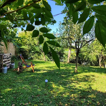 Mitrovica Kuca