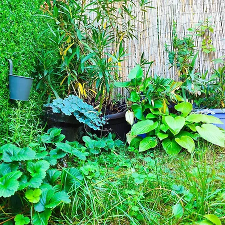 Апартаменты Mitrovica Kuca Аранделовац