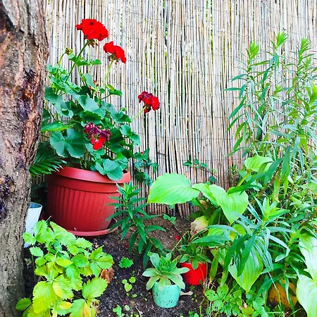 Апартаменты Mitrovica Kuca