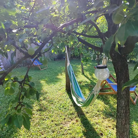 Mitrovica Kuca * Aranđelovac