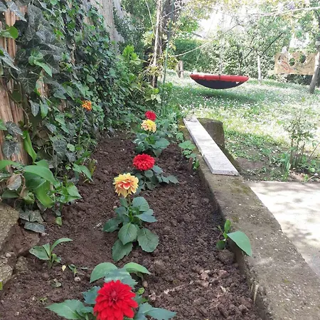 Mitrovica Kuca * ארנדלובאץ'