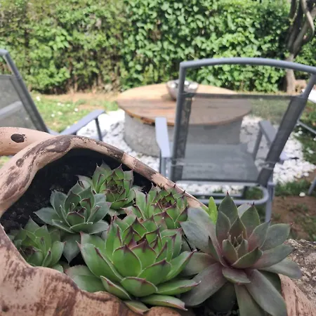 Mitrovica Kuca דירה ארנדלובאץ'