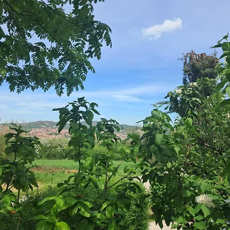 Mitrovica Kuca