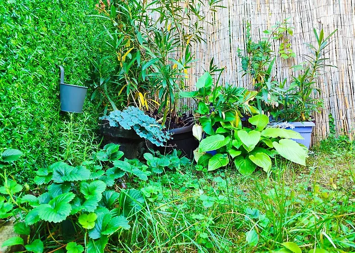 Daire Mitrovica Kuca Arandjelovac