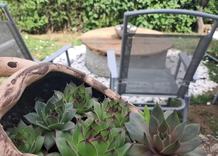 Mitrovica Kuca Daire Arandjelovac