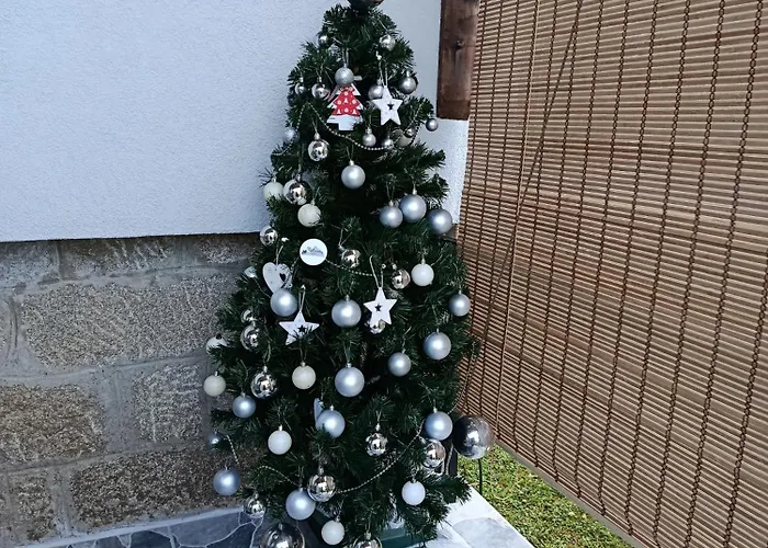 Mitrovica Kuca * Arandjelovac